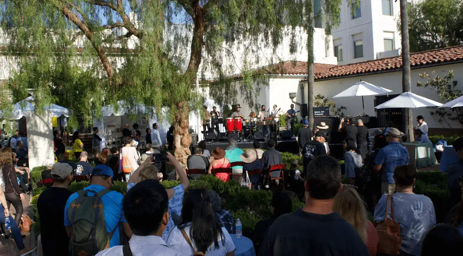 Outdoor concert under a large tree